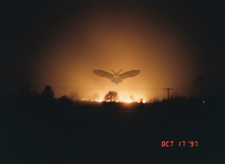 Purported evidence of the Hammock Owl — The Fires, Oviedo, 1998
